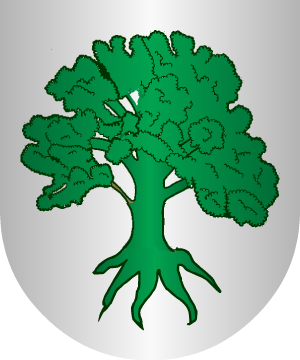 ESCUDO SIGUIENTE